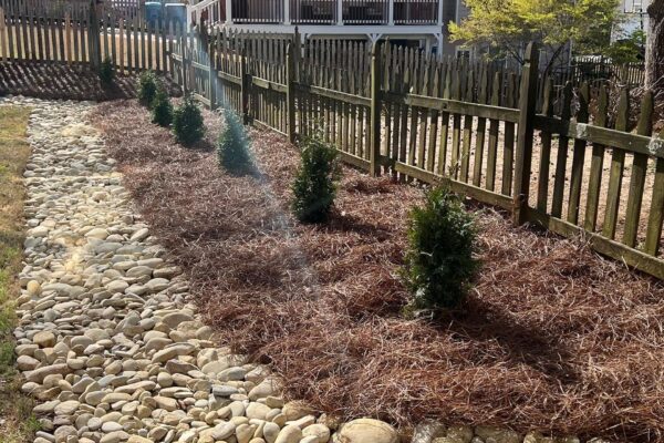 336706343_932359761131748_8355579086291286432_n - Copy