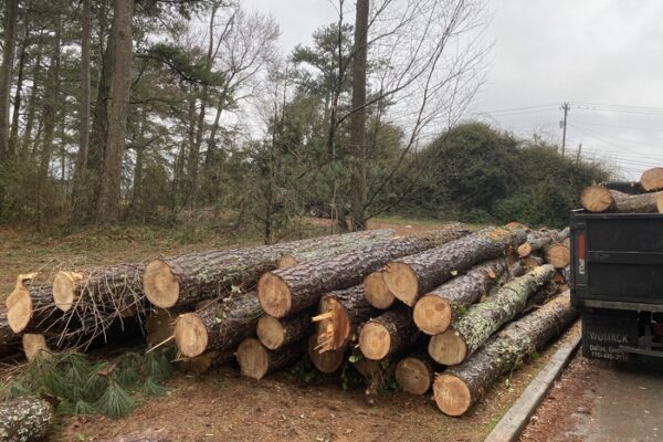 5f7f9886-3e06-11ee-88f1-525400ed7ed0