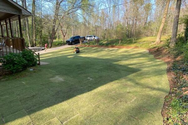 e79e4950-3e07-11ee-9bde-525400c74c14